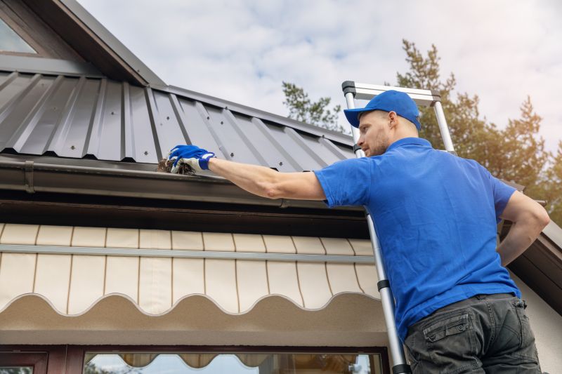 Roof and Gutter Maintenance